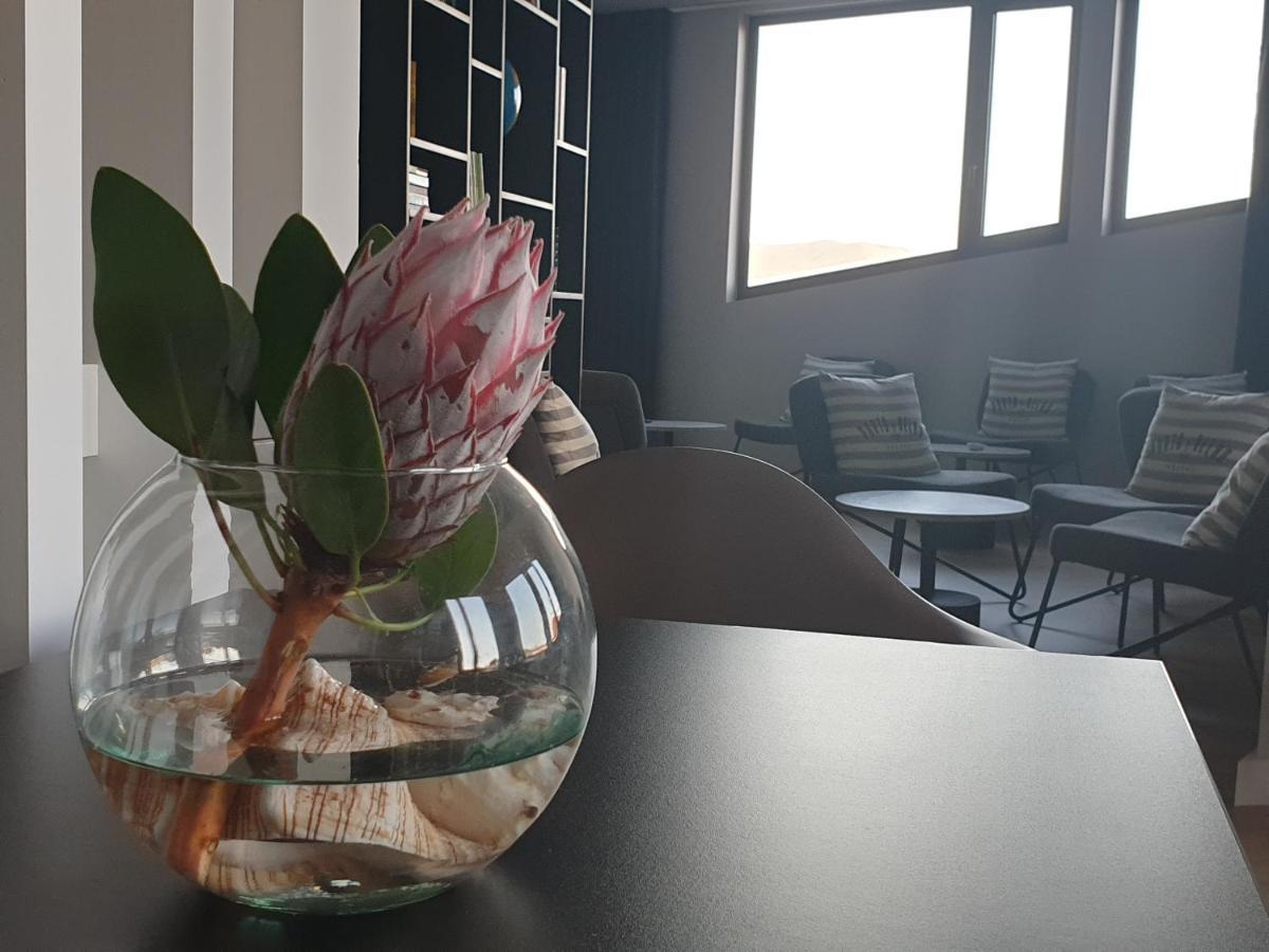 Porto Velho Boutique Hostel Madalena  Eksteriør billede